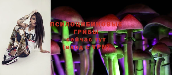 марки lsd Новодвинск