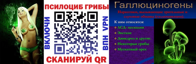 Псилоцибиновые грибы мухоморы  где купить наркотик  Воронеж 